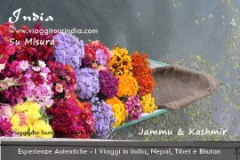 Viaggi in Kashmir