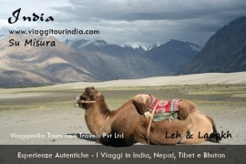 Viaggi in Ladakh - Viaggio su misura in India - Viaggio Ladakh India