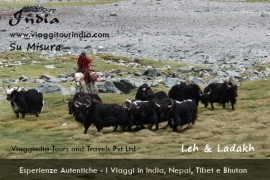 Viaggi in Ladakh - Viaggio su misura in India - Viaggio Ladakh India