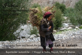 Viaggi in Ladakh - Viaggio su misura in India - Viaggio Ladakh India